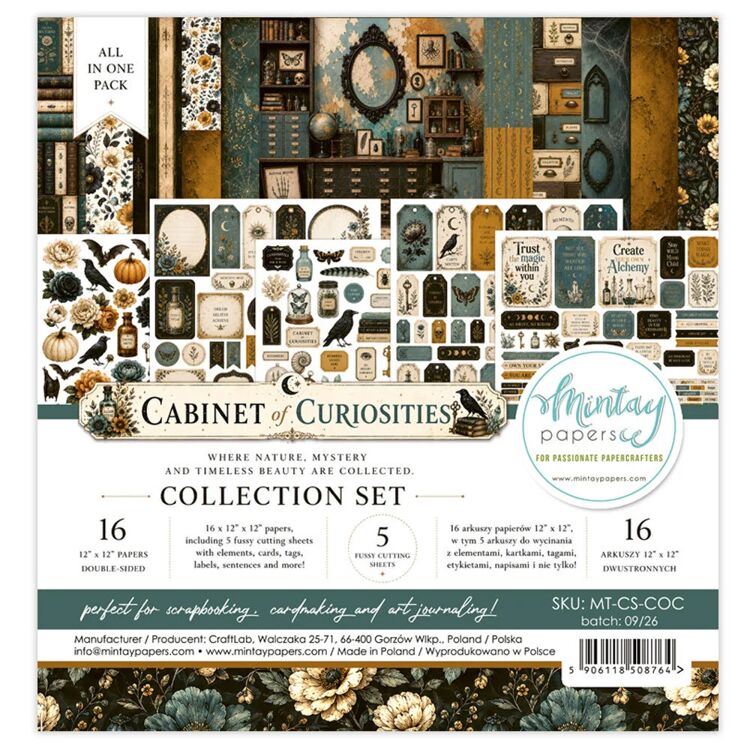 Mintay - Cabinet of Curiosities - 12x12 Inch Collection Set